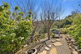 28061 Modjeska Grade - Photo 48