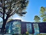 31561 Table Rock Drive - Photo 53