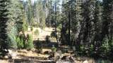 0 Sugar Pine - Photo 1