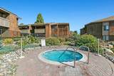 33852 Del Obispo Street - Photo 11