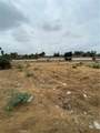 6000 Limonite - Photo 1