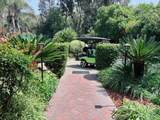 7063 Via Mariposa Norte - Photo 44