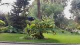 7063 Via Mariposa Norte - Photo 54