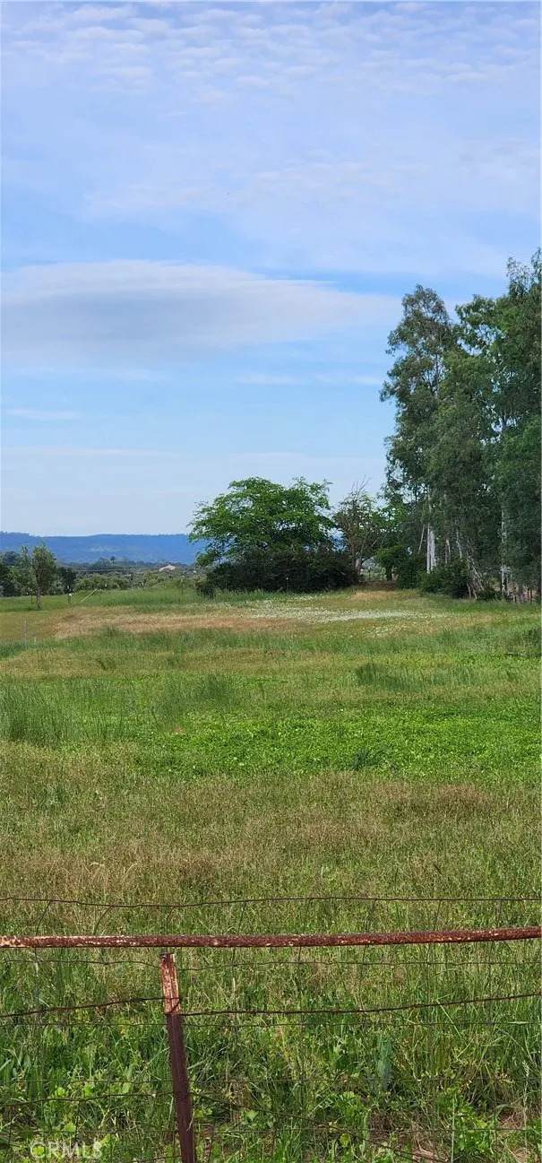 0 Palermo-Honcut Hwy. - Photo 1