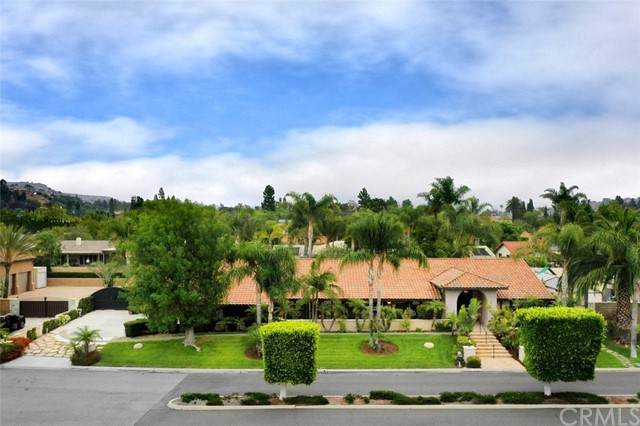 10102 Verde Lomas Drive - Photo 1