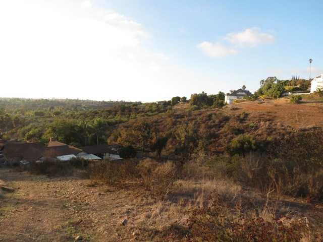 00 Estrelita Drive, Vista, CA 92084 (#120059910) :: The Marelly Group | Realty One Group