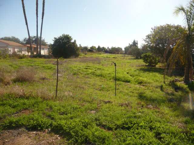 4150 Holly Lane, Bonsall, CA 92003 (#120061794) :: The Marelly Group | Realty One Group