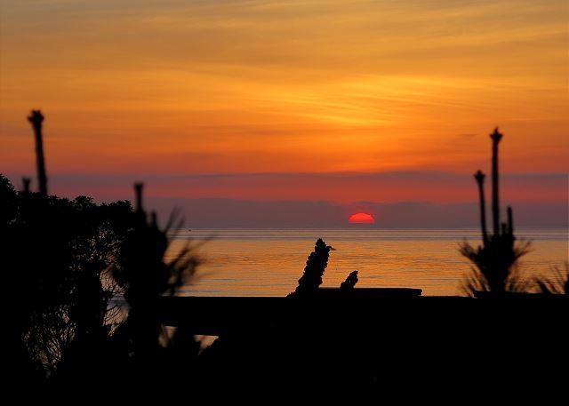 1740 Torrey Pines Road - Photo 1