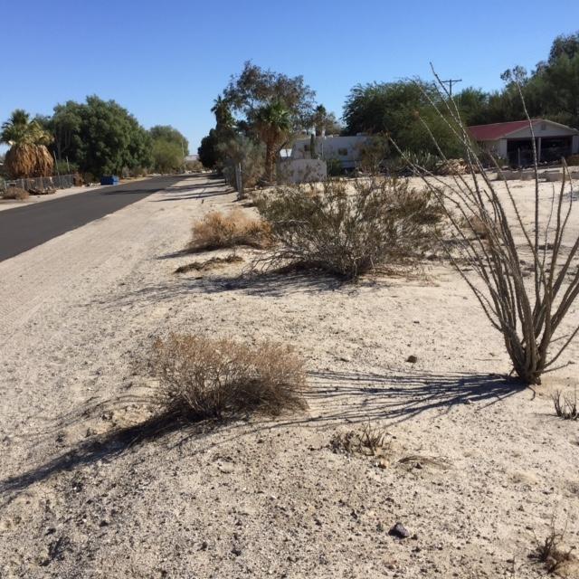 000 Smoketree - Photo 1