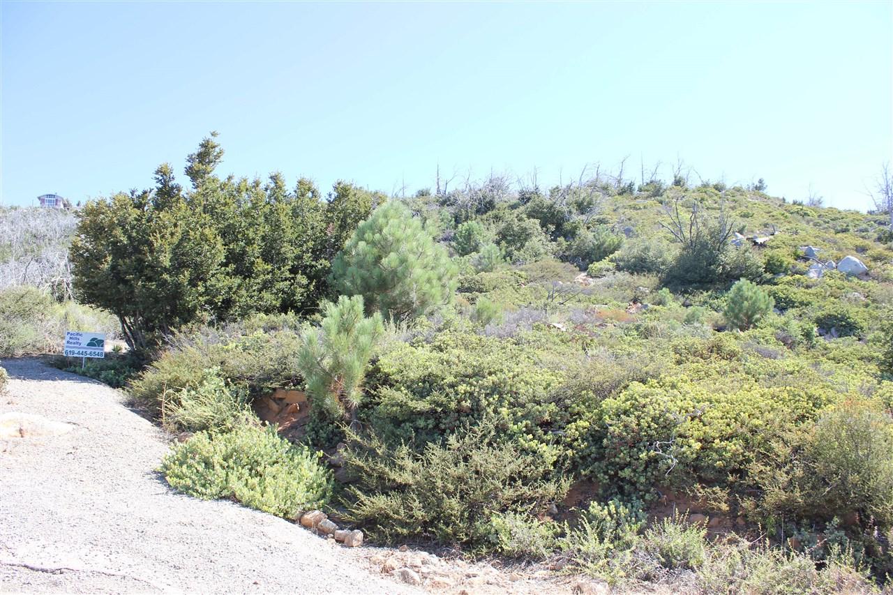 2.5 Acres Peak Way - Photo 1