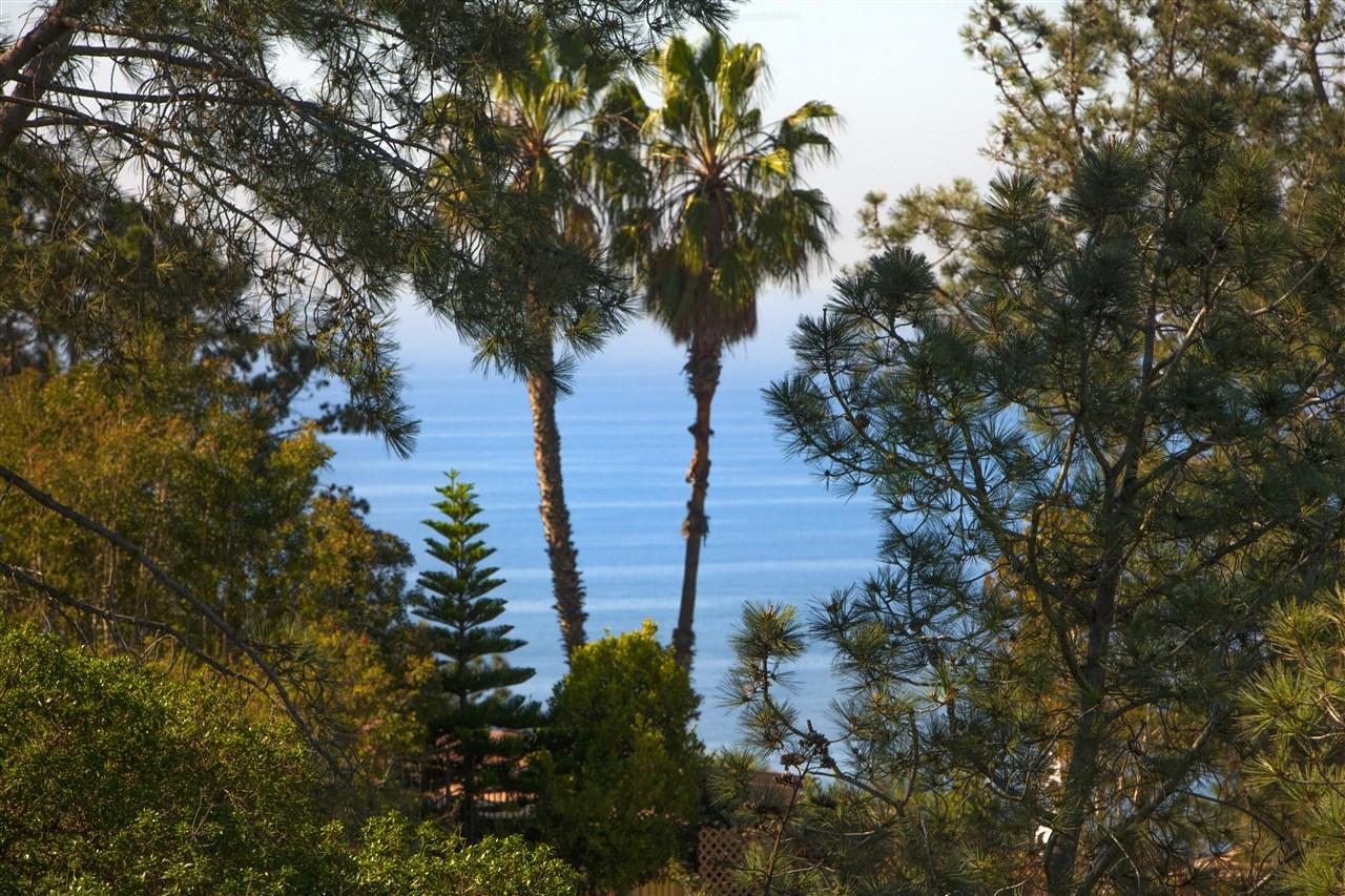 339 Hidden Pines - Photo 1