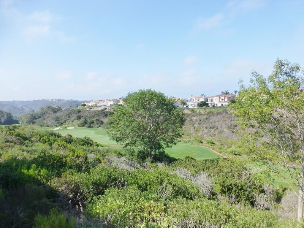 7275 Surfbird Circle - Photo 1