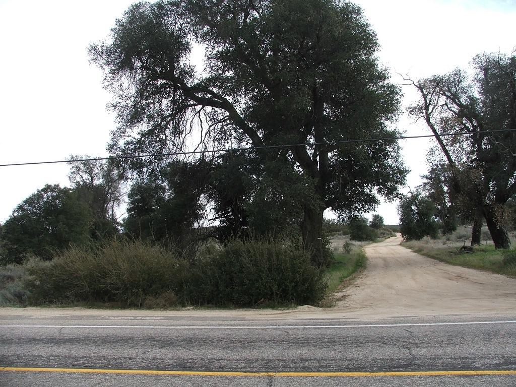 196-150-39 Montezuma Valley Road - Photo 1