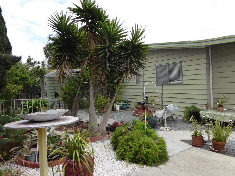3340 Del Sol Blvd - Photo 1