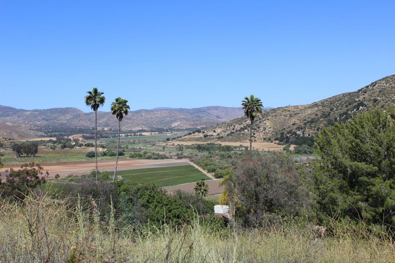 0000 Sunset Hills - Photo 1