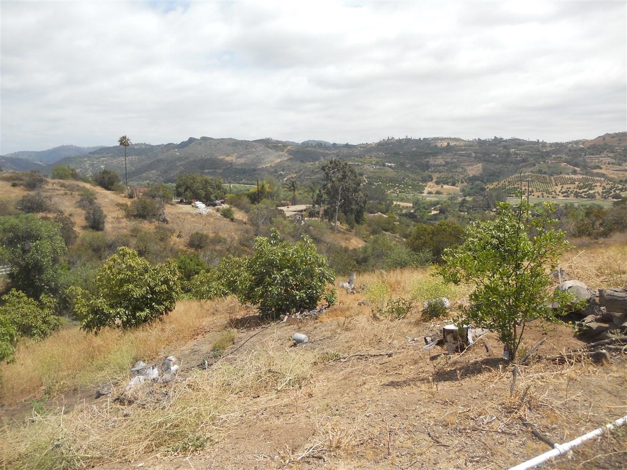 Cottontail Ln - Photo 1