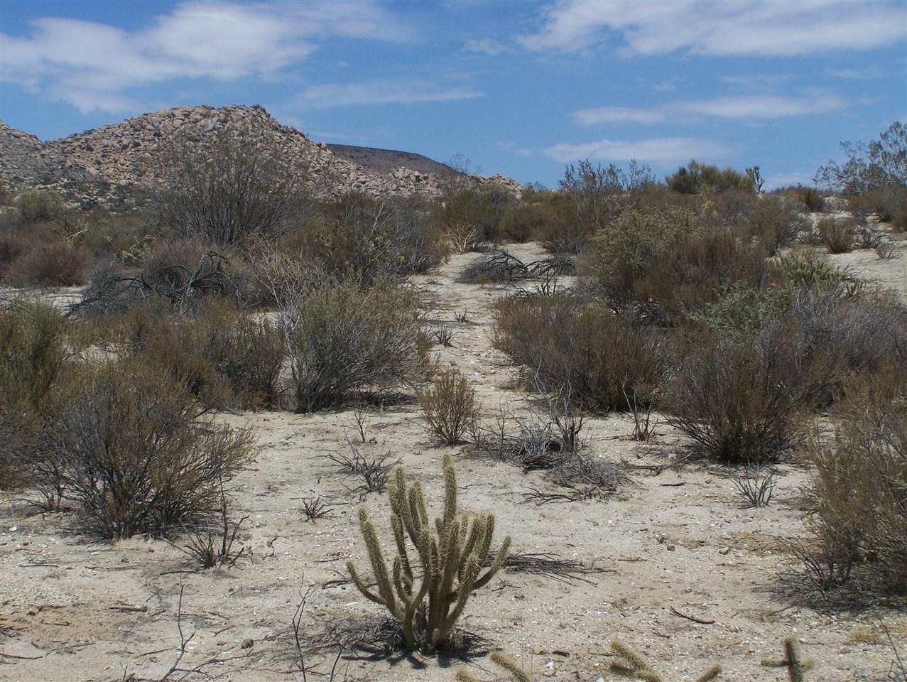 0 Carrizo Gorge Road - Photo 1