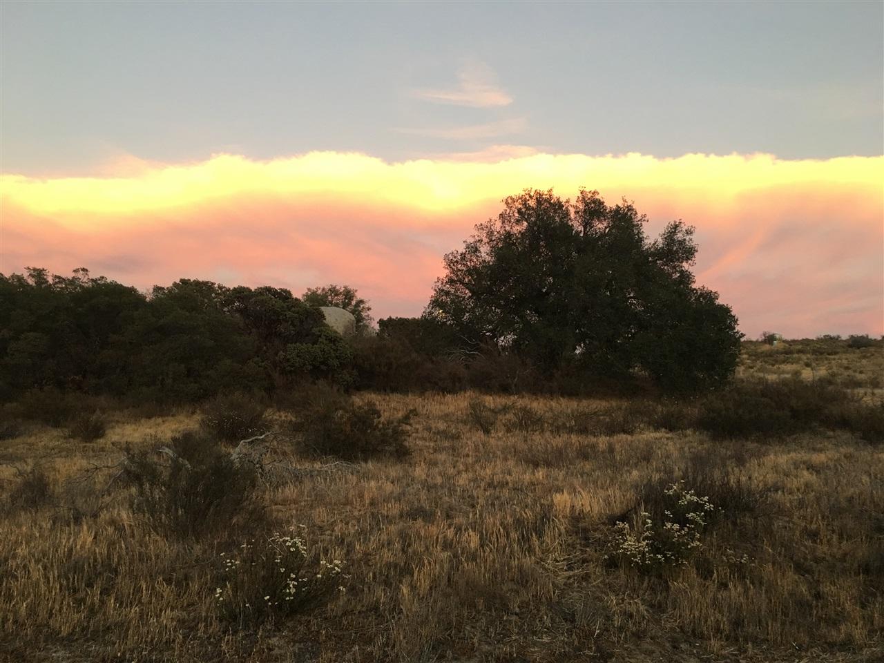 0 Potrero Valley Road - Photo 1