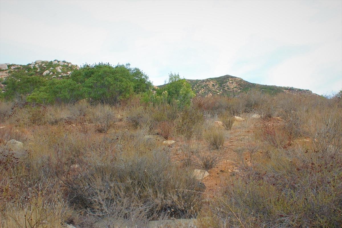 00 Presilla Dr - Photo 1