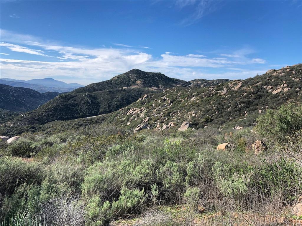 000 Wildcat Canyon Road - Photo 1