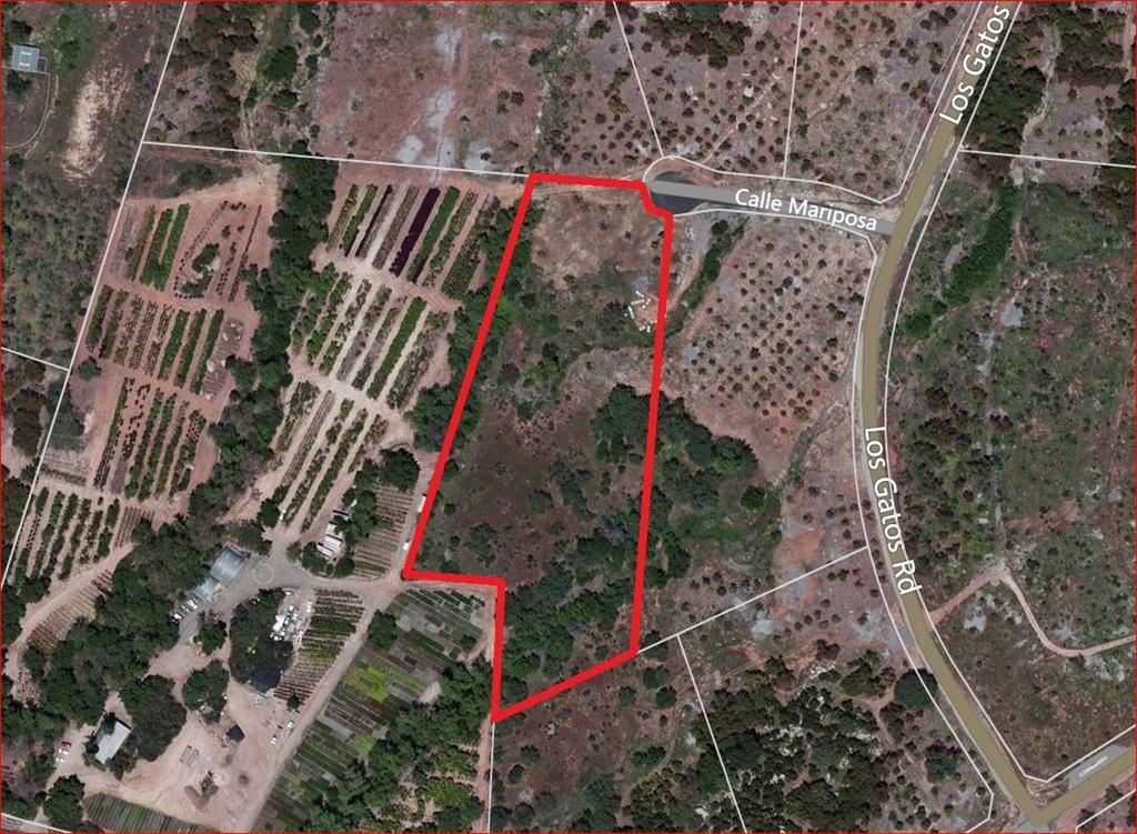 82 Calle Mariposa - Photo 1