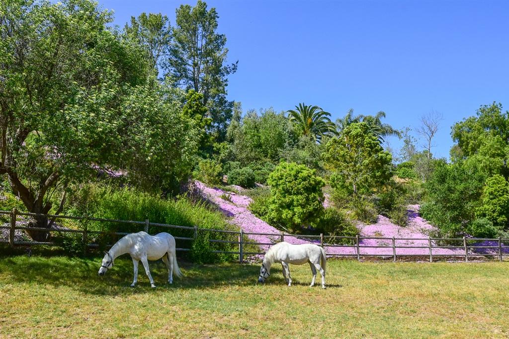 5330 San Elijo - Photo 1