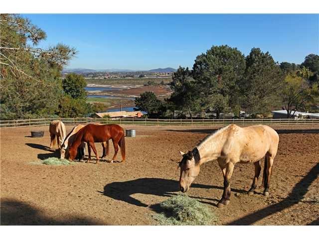 1810 San Dieguito Dr Lot 1-4 - Photo 1