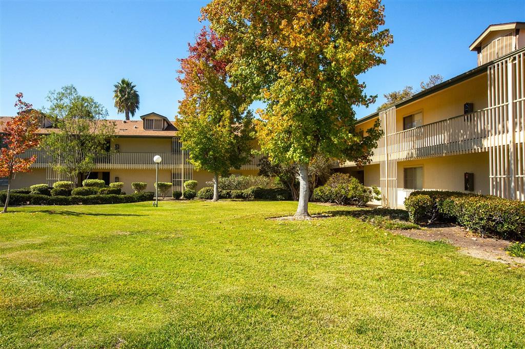 4201 Bonita Road - Photo 1