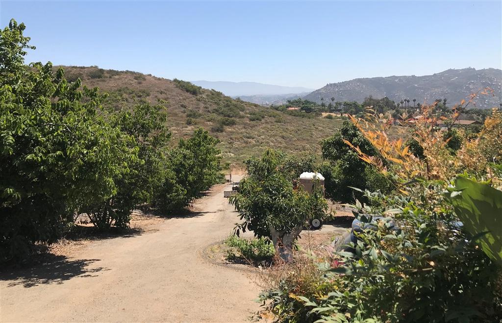 950 El Paseo - Photo 1