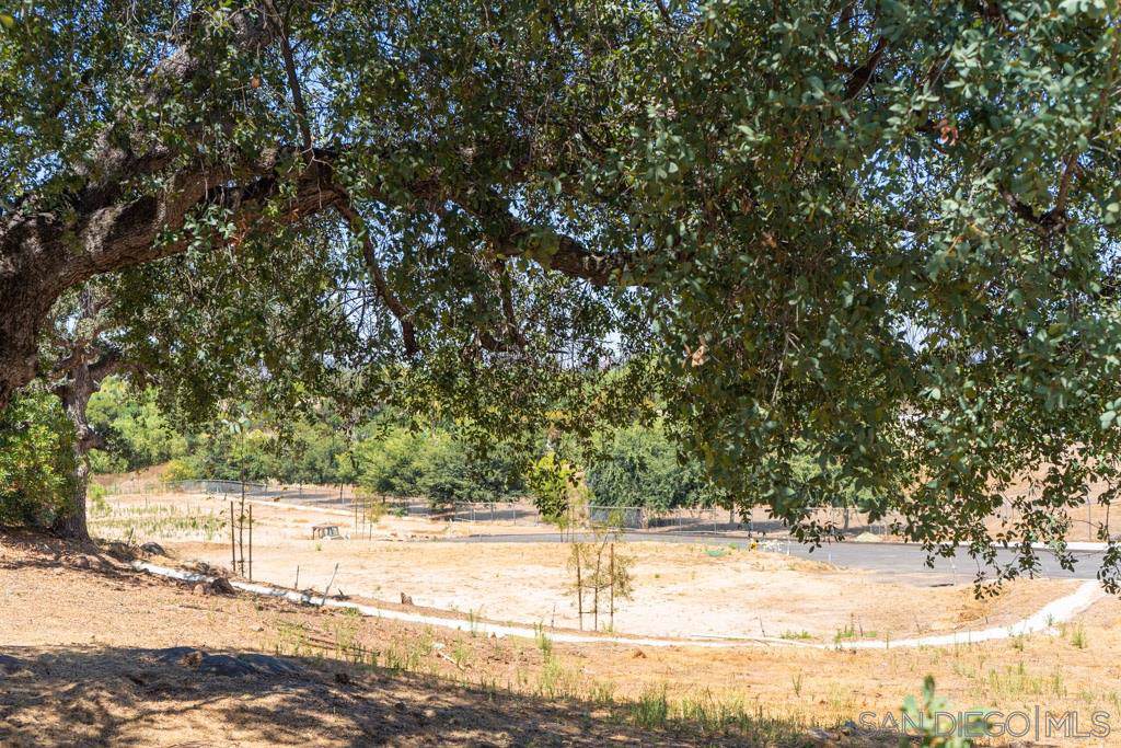 1509 Kaila Marie Way - Photo 1