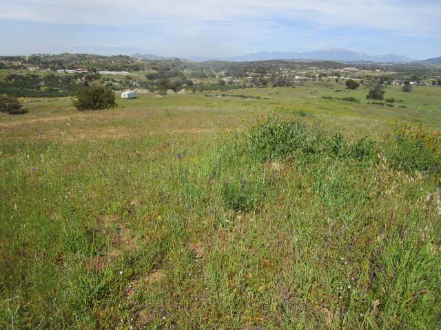 0 Spring Creek Road - Photo 1 0 Spring Creek Road - Photo 1