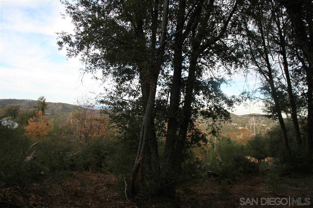 1.14 ac Birdsell Lane - Photo 1