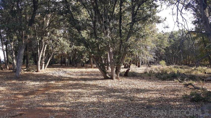 0000 Pine Ridge - Photo 1 0000 Pine Ridge - Photo 1