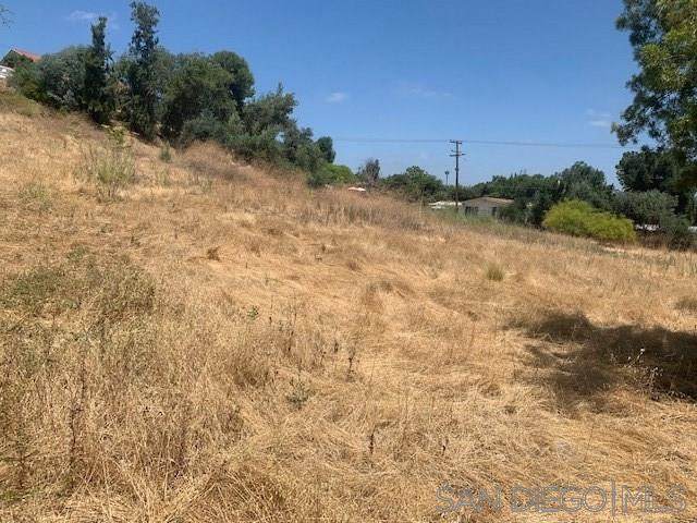 000 Sweetwater Springs Blvd - Photo 1