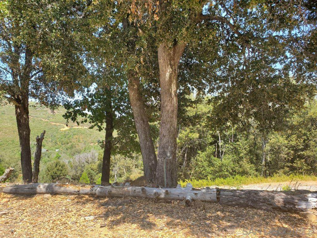 830 Julian Estates Rd. - Photo 1