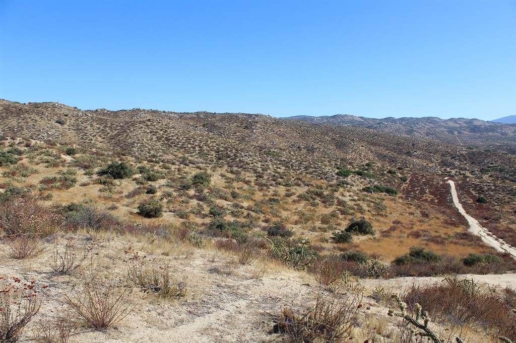 371 & Janell Drive, Happy Valley Road - Photo 1
