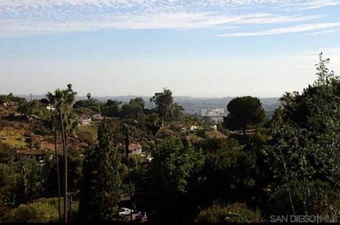 00000 Lemon Avenue - Photo 1