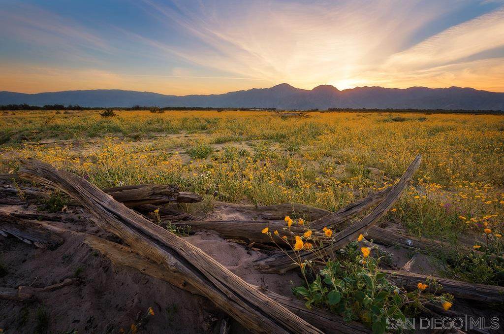 0 Borrego Valley Rd - Photo 1