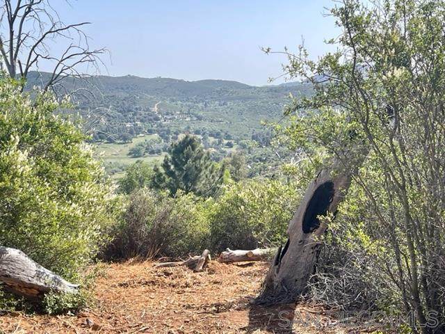 00 Iron Springs Rd. - Photo 1