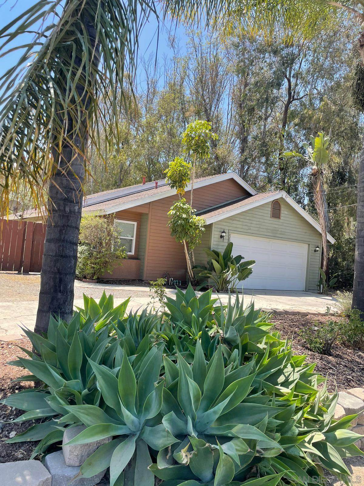 366 Smilax - Photo 1
