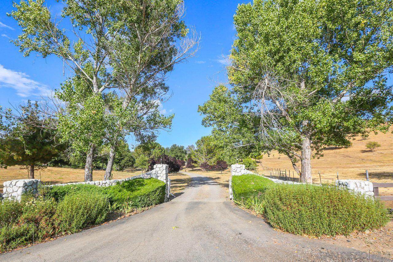 3732 Daley Flat Road - Photo 1