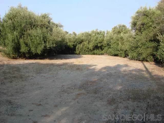 1252 Navel Place - Photo 1