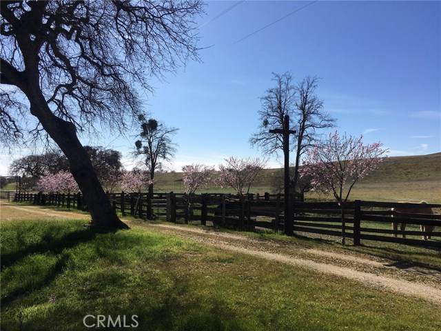 3470 Ranchita Cyn Rd - Photo 1