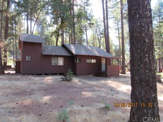 51 Bear Loop - Photo 1