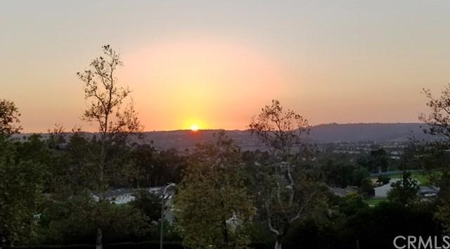 29087 Via Cerrito - Photo 1