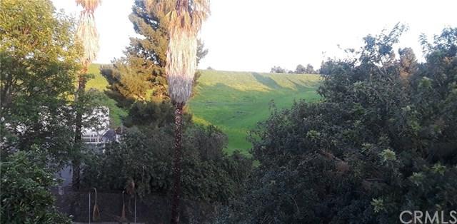 26312 Los Viveros - Photo 1