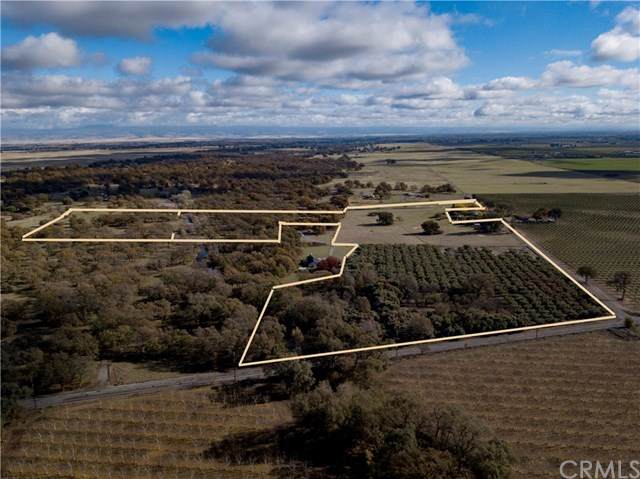 23991 Beauchamp Road - Photo 1