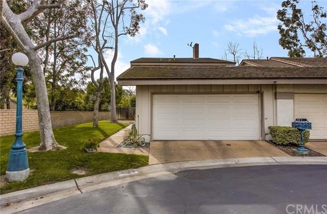 6596 Paseo Diego - Photo 1
