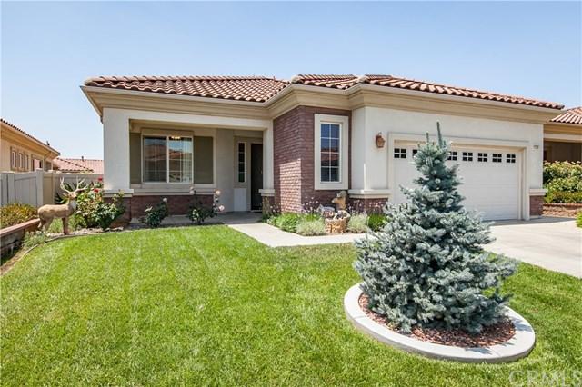 1729 Dalea Way - Photo 1