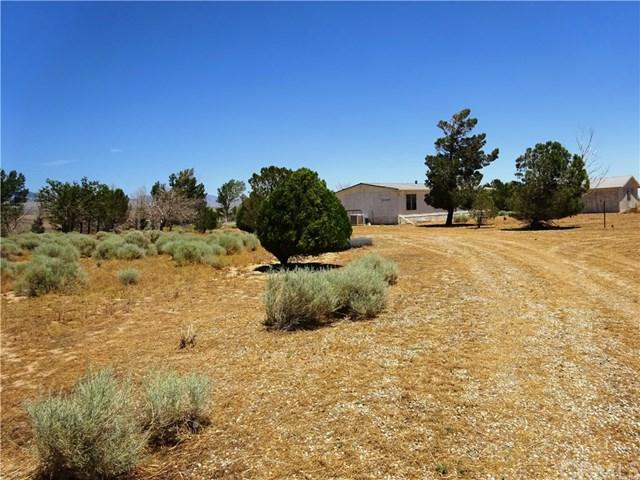 51050 280th Street - Photo 1